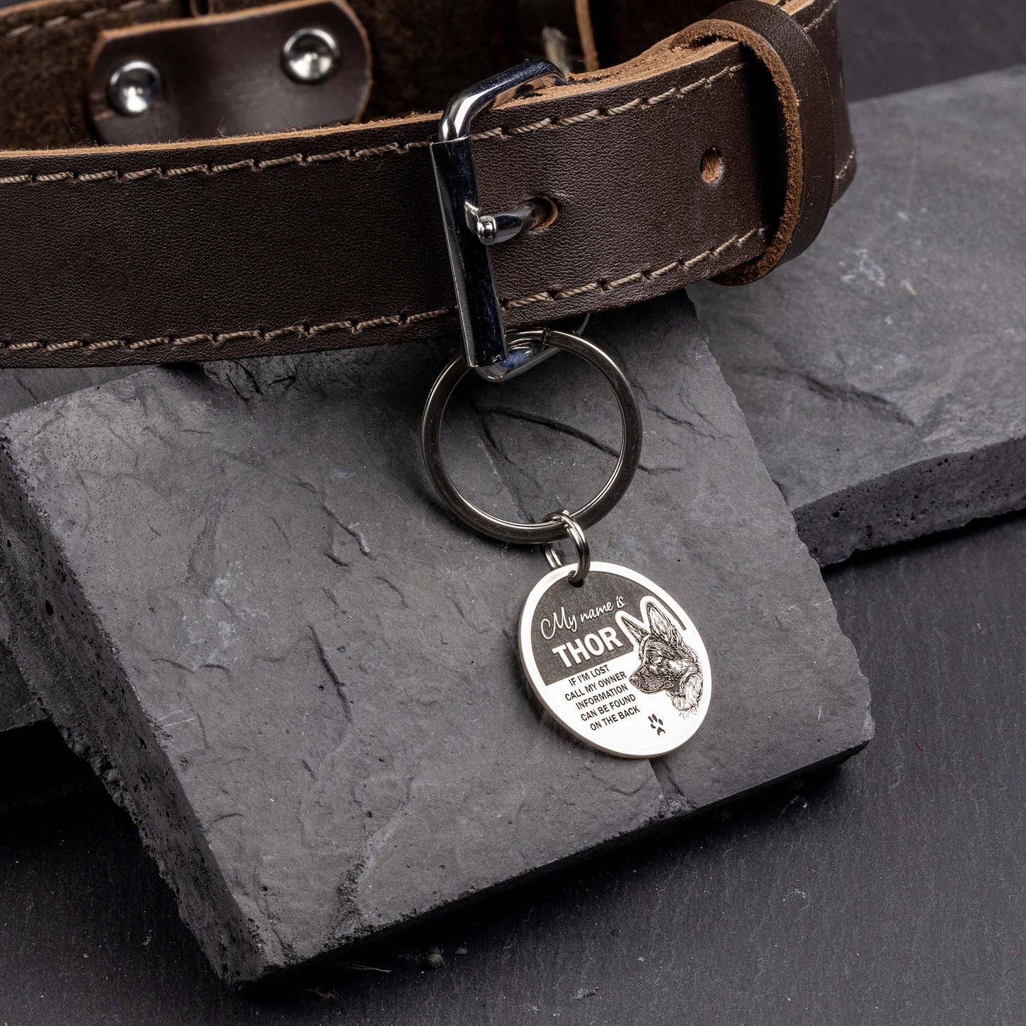 Titanium Dog Tag: Quality & Design - seQua.Shop